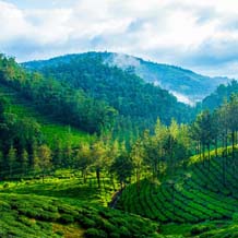 munnar, thekkady, alappuzha tour packages